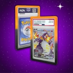 PSA Bumper Guard Radiant